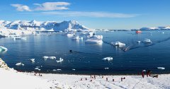 南极游客人数突破5000人，